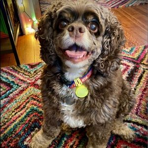 Meet your Posher, Melissa